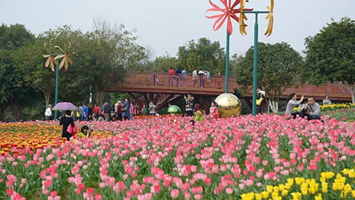 百花爭艷迎新春